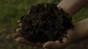 Soil & Manure
